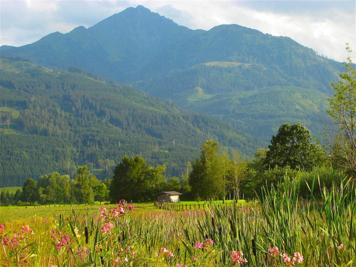 Sonnenhaus A - By Alpen Apartments Zell am See Luaran gambar